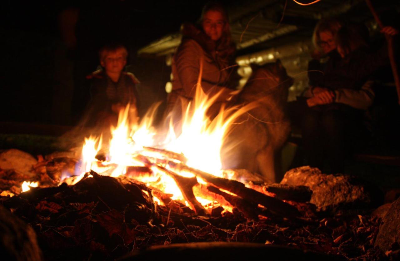 Pyrenees Emotions, Eco-Responsables, Nature, Sports Aventures Malvézie Buitenkant foto